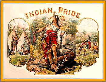 Indian Pride, people, indian, art, cigar box HD wallpaper