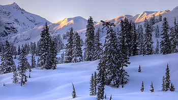 Winter, Nature, Trees, Mountains, Snow HD wallpaper