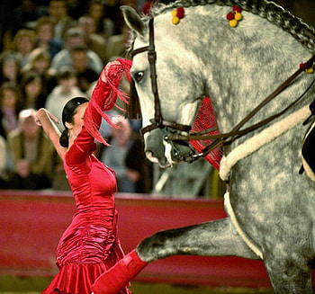 At a Time, spain, spanish, andalusian, horses, dancer, grey, flamenco, girl HD wallpaper