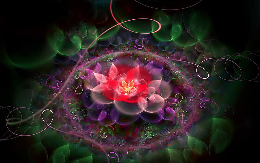 Flowers, colored, awesome, , colors, peaceful, nice, zen, flower, dreamy, adorable, tranquility, gorgeous, other, hot, purple, fairy, romantic, , lovely, blue, colorful, great, beauty, amazing, 3d and cg, color, calming, beautiful, pink, red, yellow, cool, glowing flowers HD wallpaper