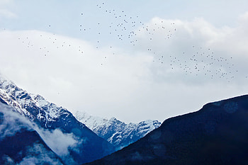 Nature, Birds, Sky, Mountains, Vertex, Top HD wallpaper