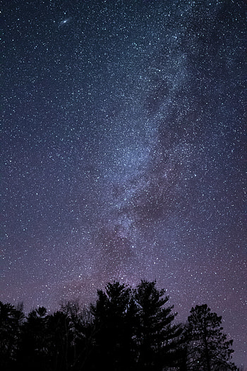 Nature, Trees, Stars, Silhouette, Starry Sky HD phone wallpaper