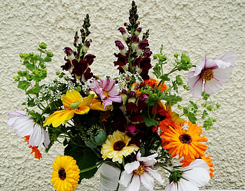 Flowers, Gerberas, Bouquet, Composition, Different, Poppy HD wallpaper