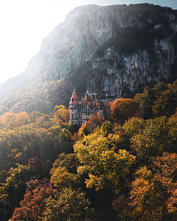 Nature, Trees, Lock, Rocks HD phone wallpaper