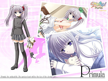 Prinmula , gray, ponytails, stuff animal, cat, girl HD wallpaper