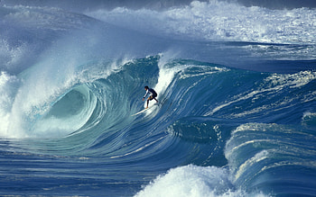 Sports, Waves, Windsurfing HD wallpaper