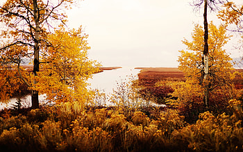 Upper Klamath Lake, Oregon, fall, autumn, trees, landscape, colors, usa HD wallpaper