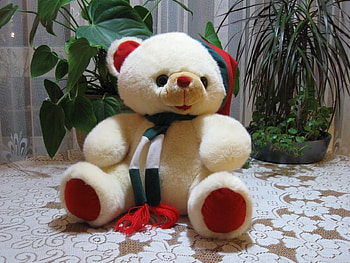 teddybear, cute, toy, white HD wallpaper