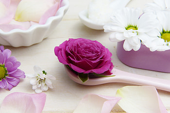 Aroma, spoon, flowers, roses HD wallpaper