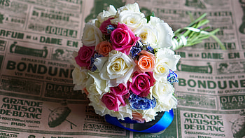 Flowers, Roses, Registration, Typography, Bouquet, Composition HD wallpaper