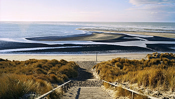 steps leading to beach at maasvlakte holland, sea, steps, grass, beach HD wallpaper