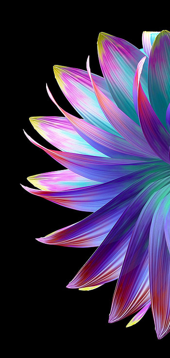 FLOWER AESTHETIC AMOLED . HeroScreen - Cool in 2021. Flower aesthetic, Plant , Samsung galaxy HD phone wallpaper