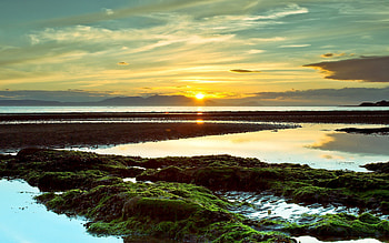 Nature, Sunset, Sun, Clouds, Patterns, Horizon, Divorces, Evening, Moss, Line, Reefs, Low Tide HD wallpaper