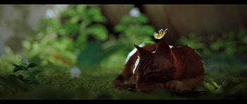 Stray Video Game – Resting Cat and Butterfly Scene, video game, Stray, cat, resting, butterfly HD wallpaper