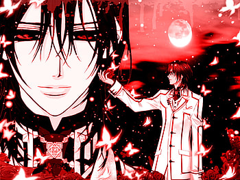 Kaname Kuran, vampire knight, vampire, rose, anime, butterfly, moon, blood, male HD wallpaper