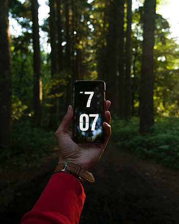 Trees, Hand, Forest, Technologies, Technology, Tele, It's Time, Time HD phone wallpaper