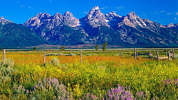 Wyoming Travels, Wyoming , Facts HD wallpaper