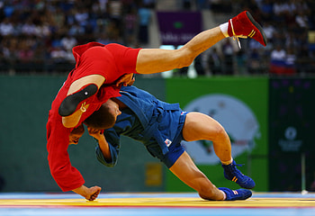 Baku 2015 European Games, Sambo HD wallpaper
