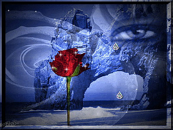 tears of a rose, blue, sea, rose, tears, red, girl HD wallpaper