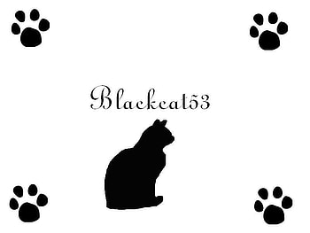 For Tara, cat, white, black, paws HD wallpaper