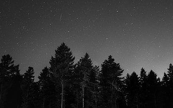 Nature, Night, Starry Sky, Bw, Chb HD wallpaper