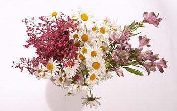 Summer bouquet, white, bouquet, vase, summer, pink, daisy, flower, green, yellow HD wallpaper