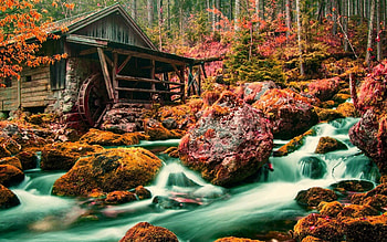 Autumn mill, Creek, Forest, Foliage, Tree HD wallpaper