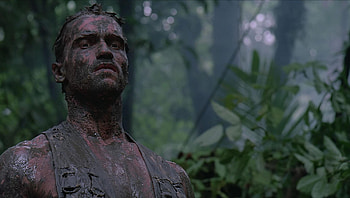 Predator (2022) movie HD wallpaper