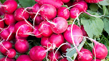 Ornamentals, Usu, Food HD wallpaper