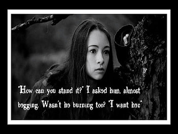 Bree Tanner, tanner, eclipse, fight, vampire, qo, thirsty, twilight, newborn vampires, bree HD wallpaper