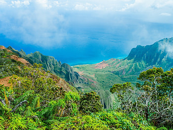 Nature of Hawaii, United States, hawaii, trees, nature, mountains, forest, usa HD wallpaper
