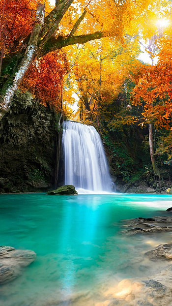 Waterfall beauty, Cascading water, Natural wonder, Serene landscape HD phone wallpaper