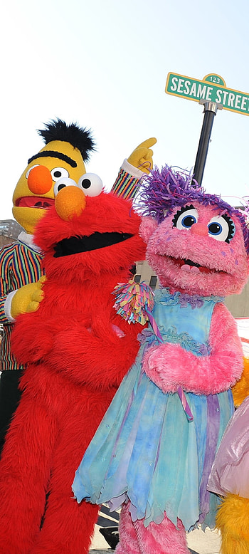 Sesame Street Animation, TV show sensation, Captivating entertainment, Beloved characters HD phone wallpaper