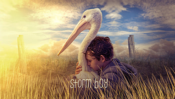 Storm Boy 2019, storm-boy, 2019-movies, movies HD wallpaper