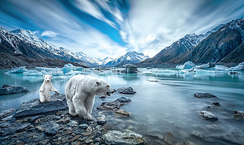 Scenic Polar Bears, artic, snow, scenic, cold, sky, Polar bears, water, ice HD wallpaper