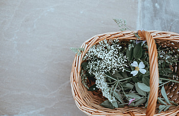 Flowers, Grass, Basket HD wallpaper