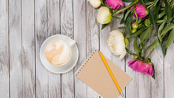 Still Life, notebook, flowers, cup HD wallpaper