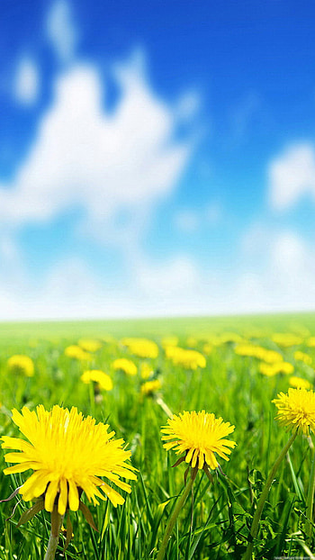... galaxy live for pc ... HD phone wallpaper