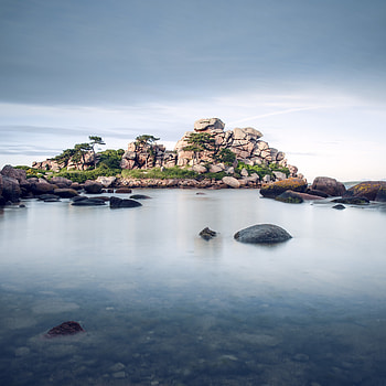 Animals, Stones, Sea, Rocks, France HD phone wallpaper