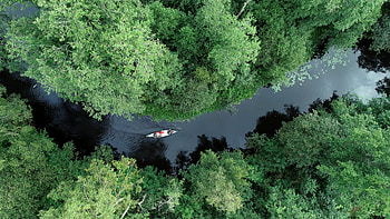 Nature, Rivers, Trees, View From Above, Boat, Kayak HD wallpaper