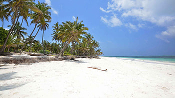 Zanzibar and coast, Natural beauty, Wildlife safaris, Coastal wonders HD wallpaper