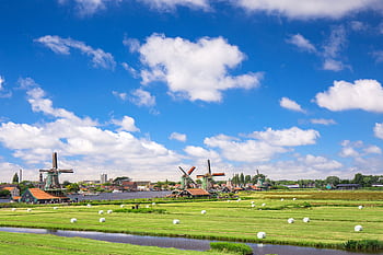 que view of traditional windmills and farmland in rural Amsterdam under a clear blue sky. HD wallpaper