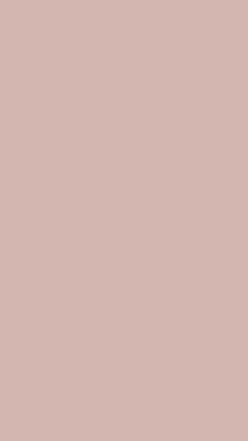 Background, Texture, Textures, Monochromatic, Plain, Solid, Beige HD phone wallpaper