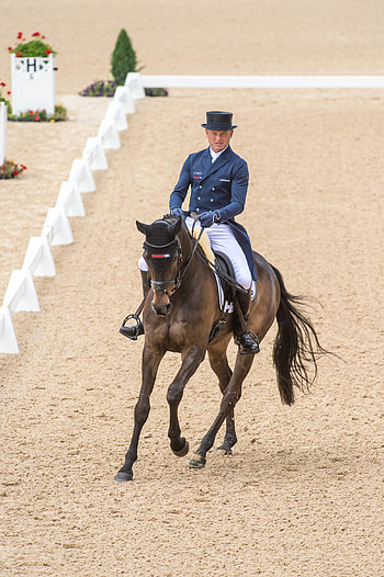 Michael Jung, Dressage HD phone wallpaper