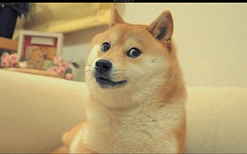 Doge in SPACE - Doge () (14011) HD wallpaper