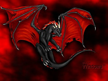 Black-Dragon, dragon, black, window HD wallpaper