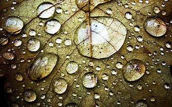 Objects, Drops HD wallpaper