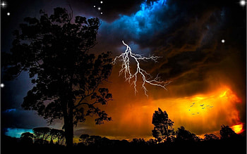 Nature, Birds, Trees, Sky, Stars, Night, Lightning, Outlines, Bad Weather HD wallpaper