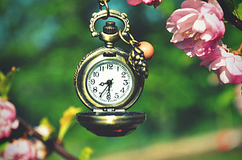 Flowers, Clock, Miscellanea, Miscellaneous, Style, Pocket HD wallpaper