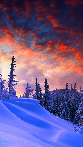 Winter Background, Winter Season Background HD phone wallpaper